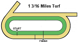 fmturf